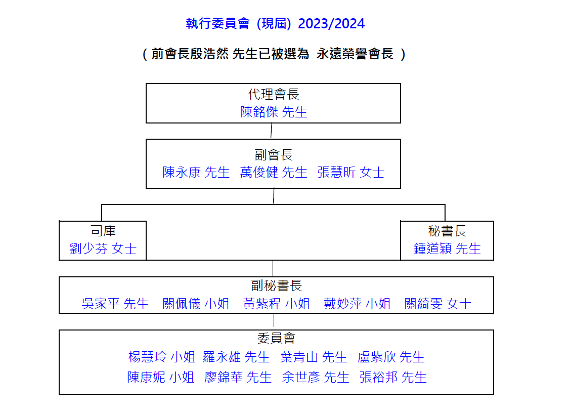 執行委員會架構 executive committee structure
